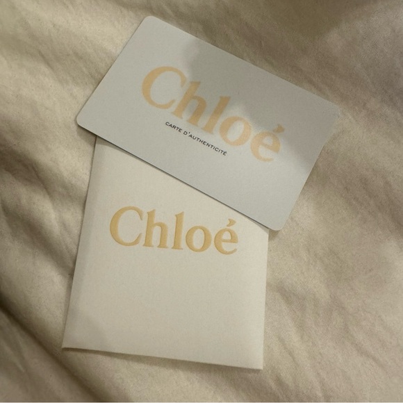 Chloe Drew Shoulder Bag in Multicolor Suede & Grey Leather with Gold Chain Strap - Picture 12 of 12